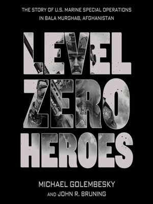 cover image of Level Zero Heroes